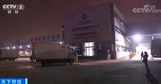 地中海蓝鳍金枪鱼视频,高端海鲜食材蓝鳍金枪鱼