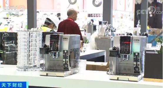 地中海蓝鳍金枪鱼视频,高端海鲜食材蓝鳍金枪鱼