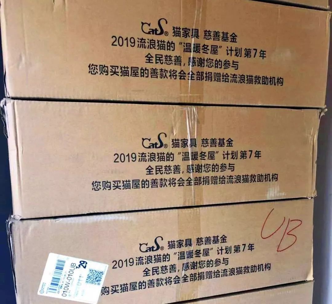 2019温暖继续！这是第七年CatS牌温暖冬屋，替猫咪们说感谢