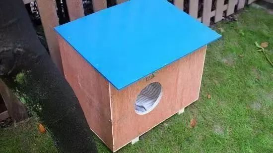 2019温暖继续！这是第七年CatS牌温暖冬屋，替猫咪们说感谢