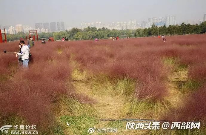 西安轮胎被扎,陕西一车主被扎坏72条轮胎