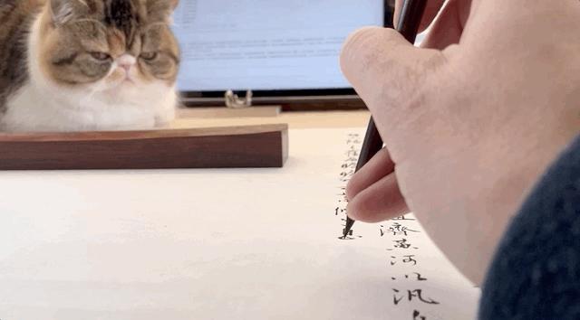 祖峰在拍哪部新作品,祖峰的照片