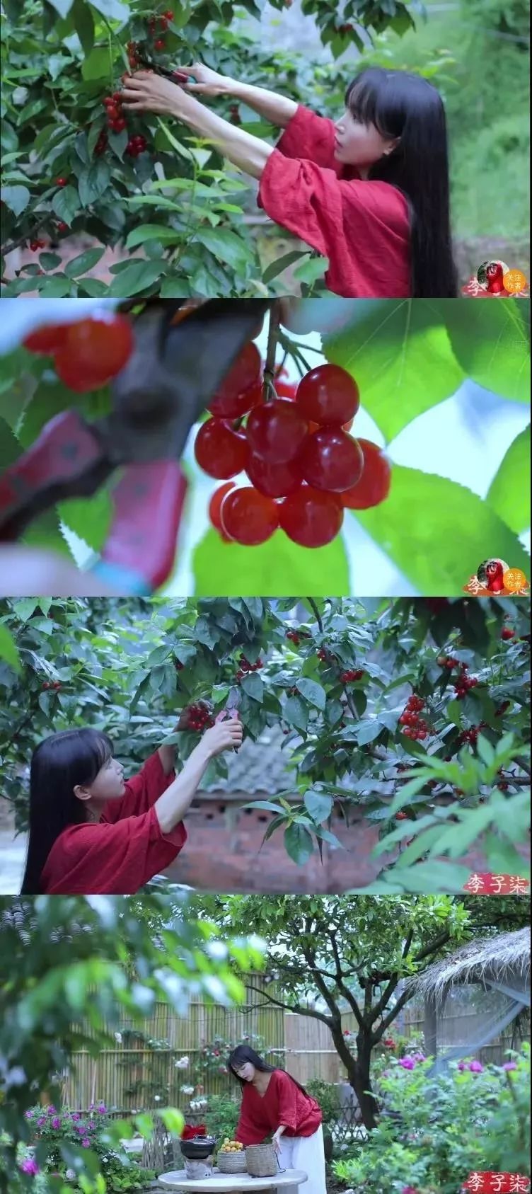 人气最高网红村姑,盘点曾经很火的村姑网红