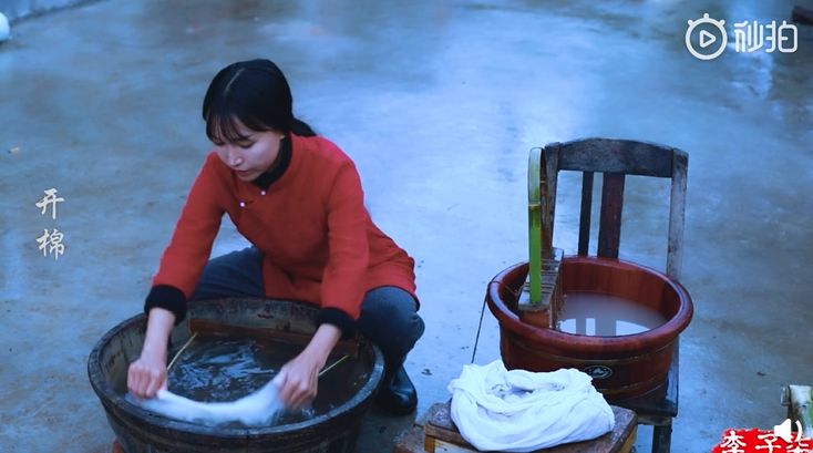 人气最高网红村姑,盘点曾经很火的村姑网红