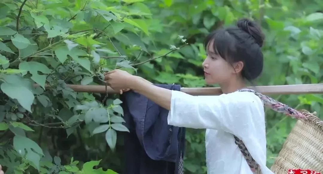 人气最高网红村姑,盘点曾经很火的村姑网红