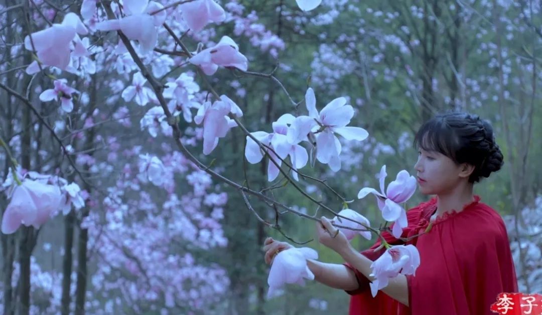 人气最高网红村姑,盘点曾经很火的村姑网红