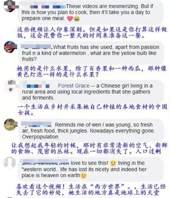 人气最高网红村姑,盘点曾经很火的村姑网红