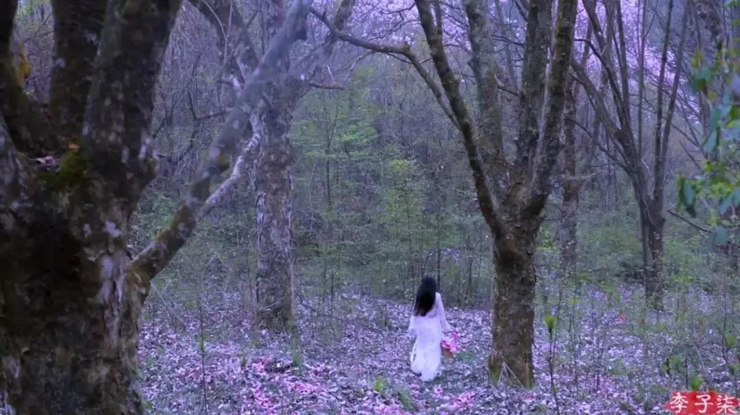 人气最高网红村姑,盘点曾经很火的村姑网红