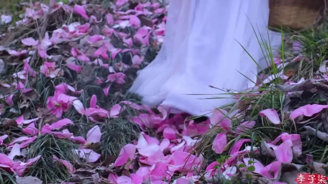 人气最高网红村姑,盘点曾经很火的村姑网红