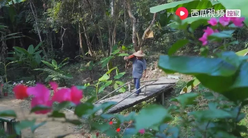 人气最高网红村姑,盘点曾经很火的村姑网红