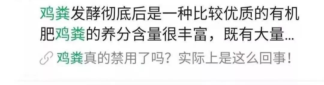 鸡粪为什么不建议使用,鸡粪为什么不能直接使用