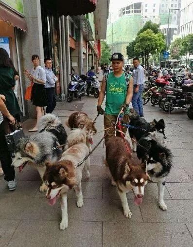 代吃饭代做菜,代做菜服务