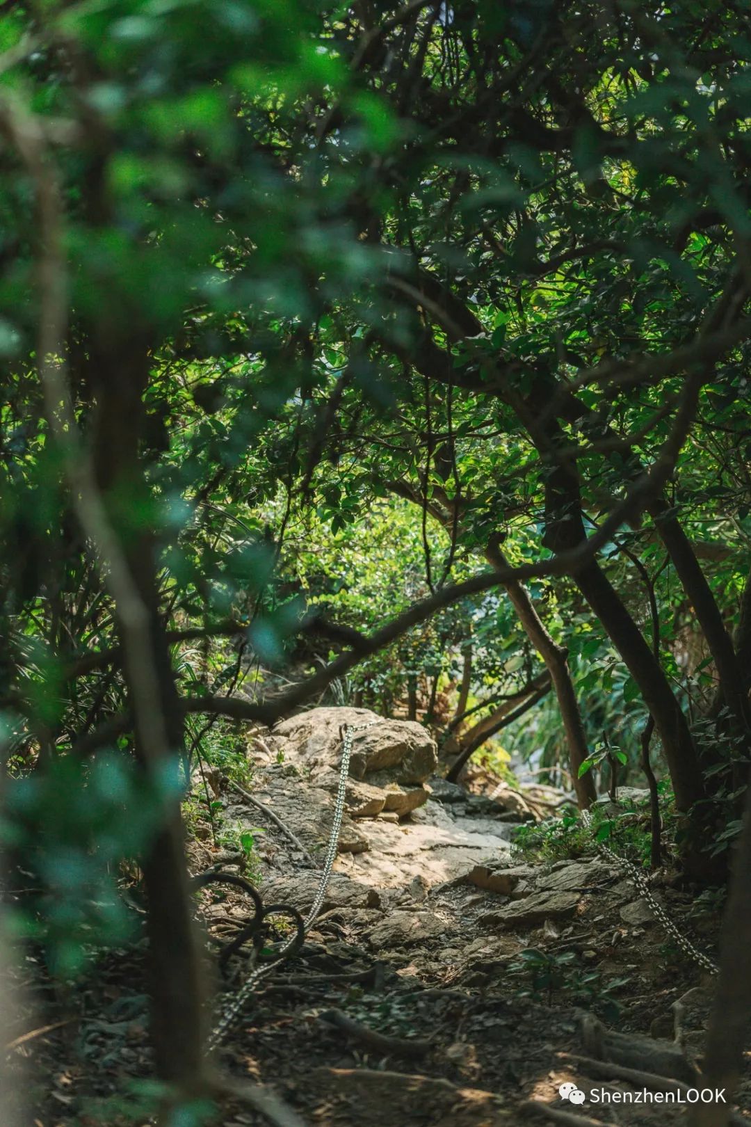 look绉嬫棩绌挎惌,look娣辩