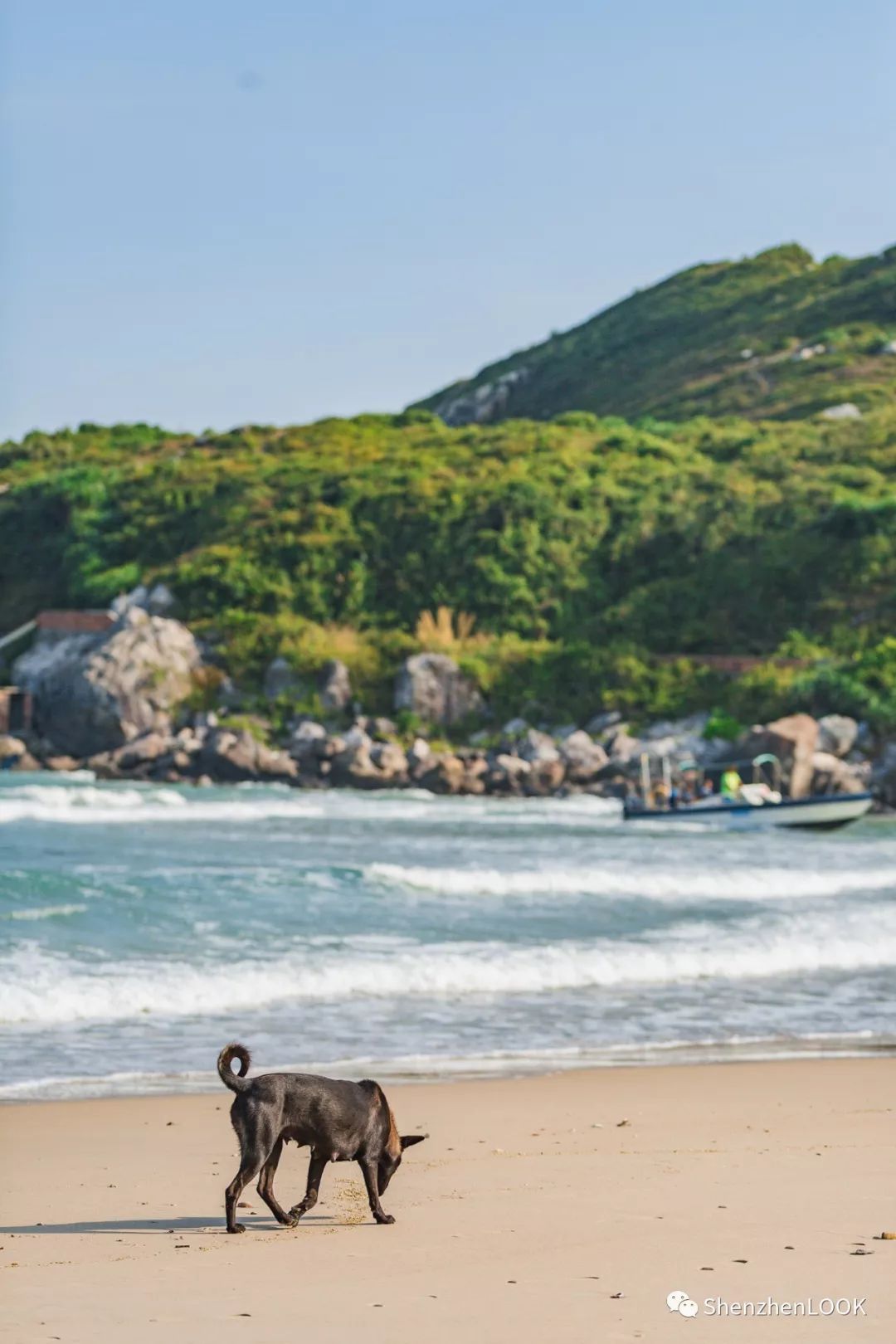 look绉嬫棩绌挎惌,look娣辩