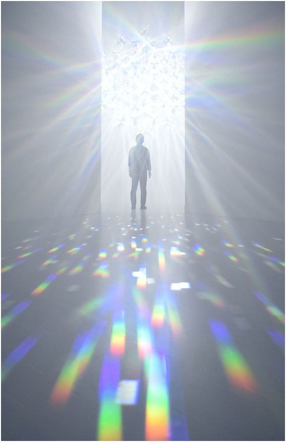 1000㎡展示中心：兔子先生的奇幻梦境