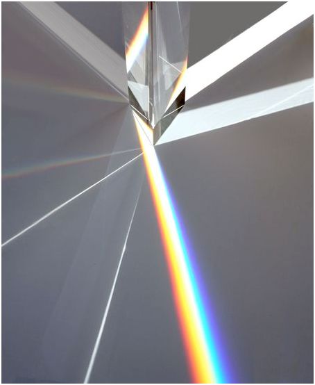 1000㎡展示中心：兔子先生的奇幻梦境