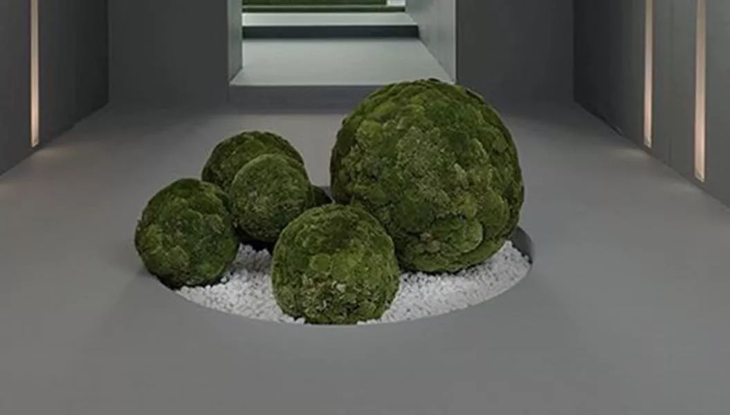 1000㎡展示中心：兔子先生的奇幻梦境