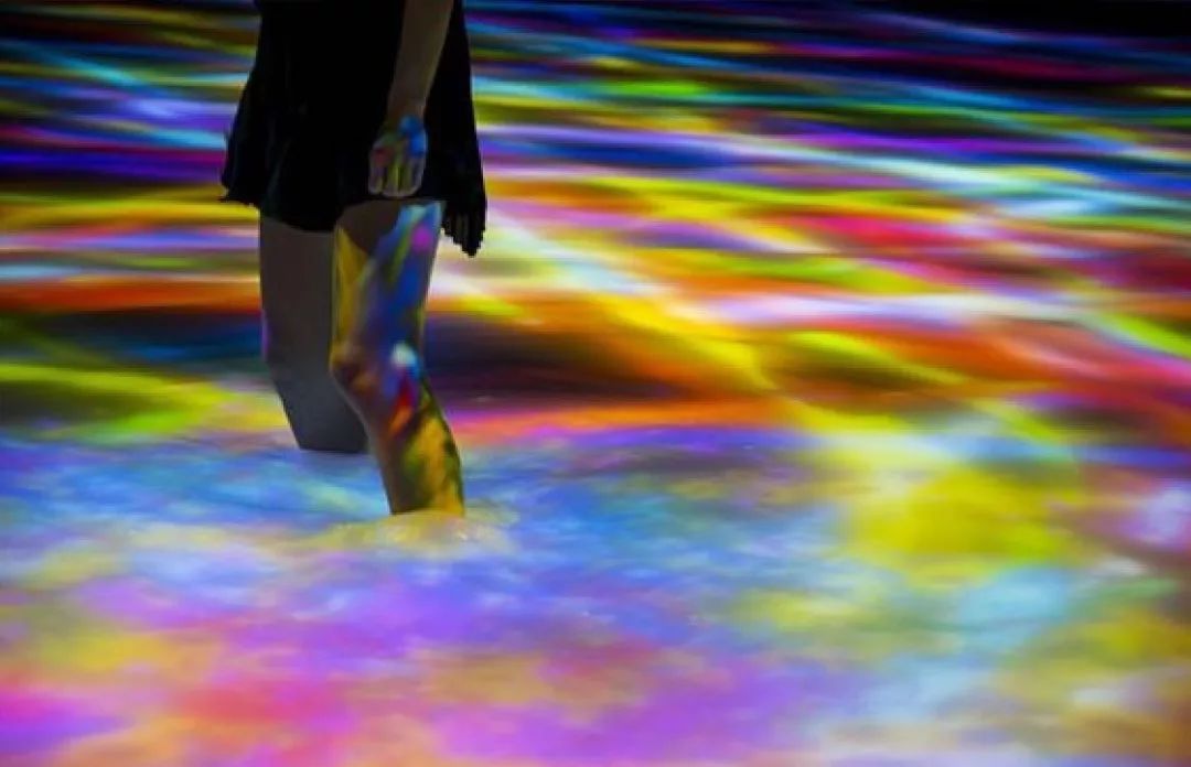 1000㎡展示中心：兔子先生的奇幻梦境