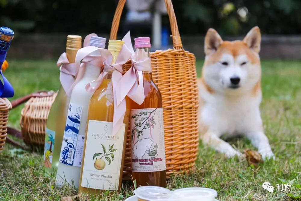 好物推荐最新酒爆款,好物爆款酒