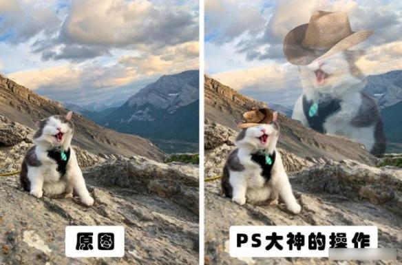 你绝对没见过的ps大神搞笑p图对比,求ps大神帮忙p图搞笑