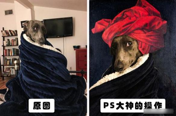 你绝对没见过的ps大神搞笑p图对比,求ps大神帮忙p图搞笑