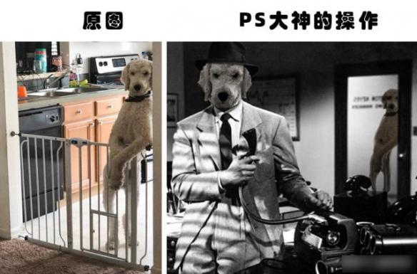 你绝对没见过的ps大神搞笑p图对比,求ps大神帮忙p图搞笑