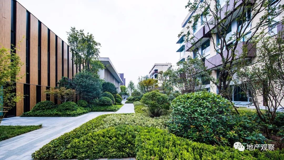 这家房企零踩线盈利能力持续领先,这家上市房企