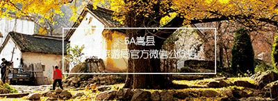 嵩县的这些“非卖品”，你都知道吗？