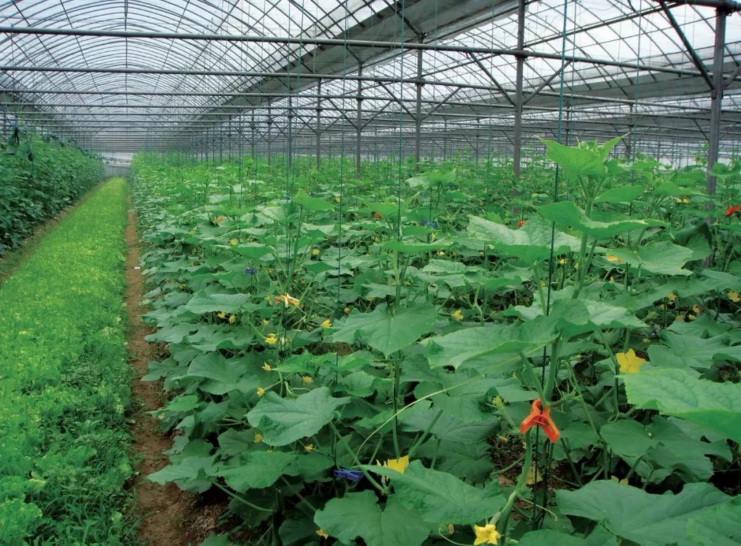 「聚焦」隐藏在CHI（赤）FENG（峰）里的秘密，你发现了吗？