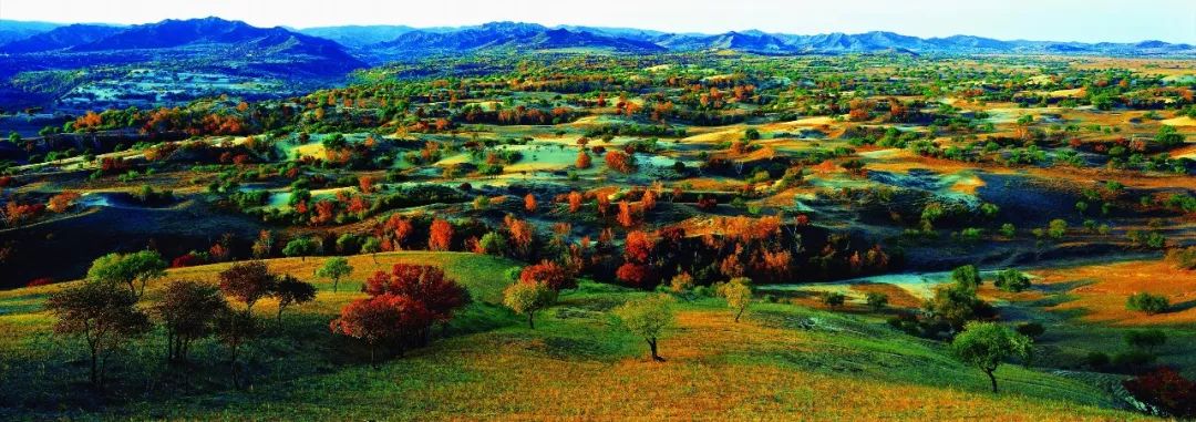 「聚焦」隐藏在CHI（赤）FENG（峰）里的秘密，你发现了吗？