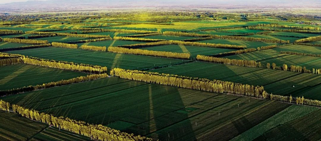 「聚焦」隐藏在CHI（赤）FENG（峰）里的秘密，你发现了吗？