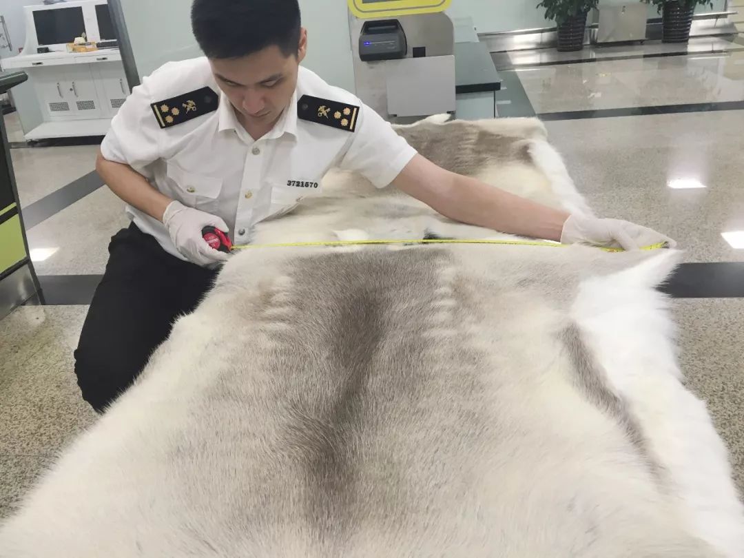 守正创新开拓进取,强本固基守正创新