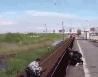 撑不下去的时候，请看看这17张照片