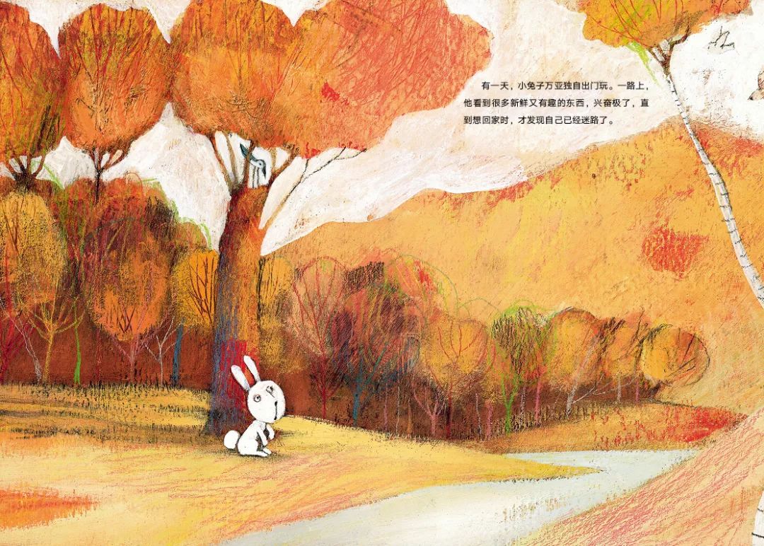 国际大师绘本视频,10位国际绘本大师