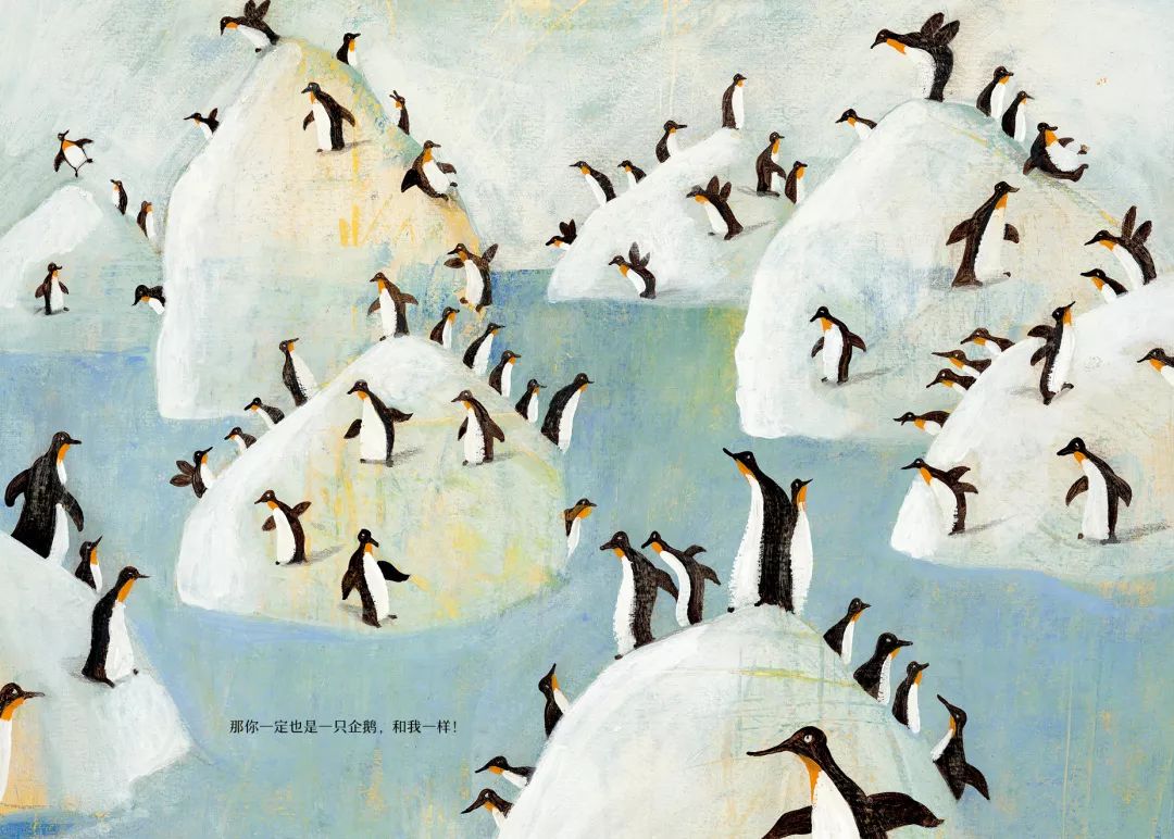 国际大师绘本视频,10位国际绘本大师