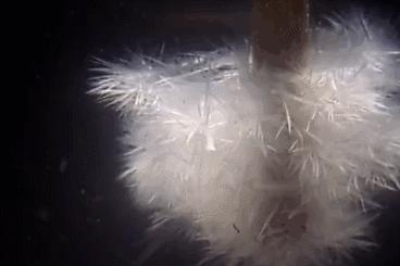 双11到底有什么优惠,双11到底哪些优惠