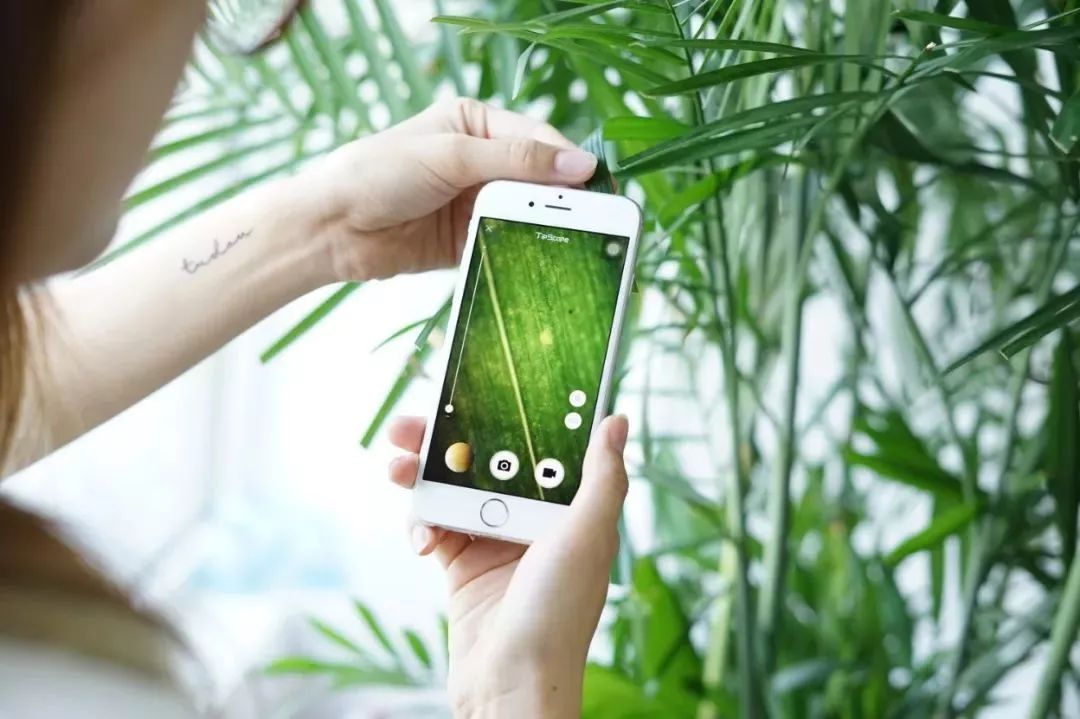 双11到底有什么优惠,双11到底哪些优惠