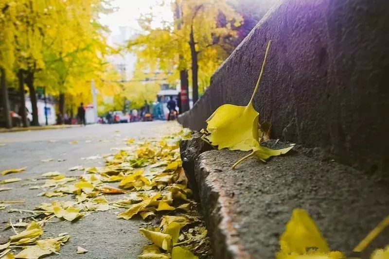 精心整理的成都超全旅游攻略,成都旅游攻略必看30条