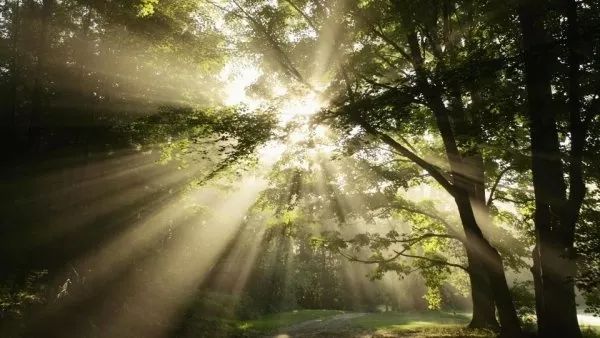 精心整理的成都超全旅游攻略,成都旅游攻略必看30条