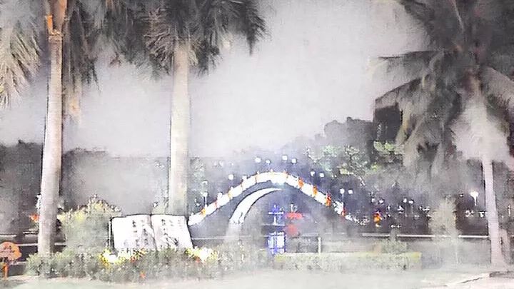 金砂公园景色,金砂公园简介