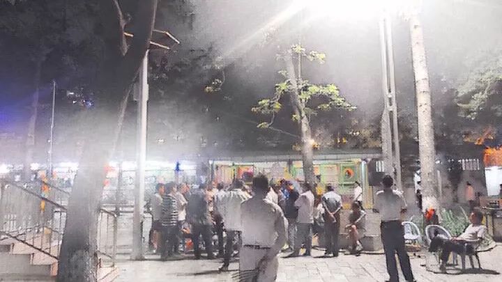 金砂公园景色,金砂公园简介