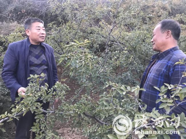 印台区人大常委会主题活动,铜川市印台区2023志愿服务汇报会