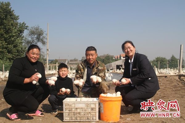 养鹅创业带头人,创业养鹅发家致富
