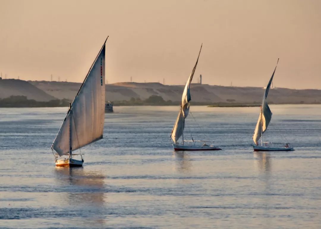 一半海水一半火焰在血液中奔跑,一半海水一半火焰在线阅读