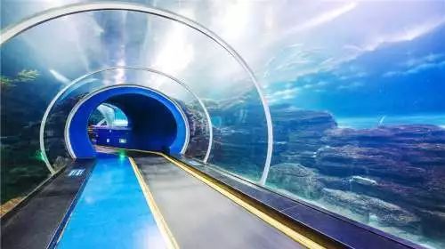 青岛海底世界抢免费门票攻略,如何购买免费青岛海底世界门票