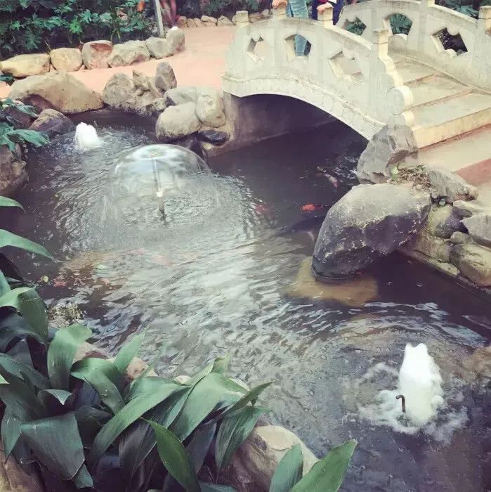 长沙河西农家乐和休闲农庄,长沙最佳生态农庄