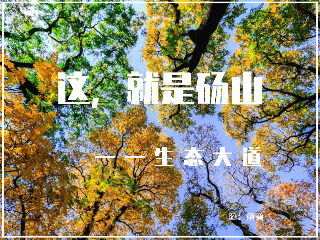 漫步在景色迷人的网红打卡之地,自然景观网红打卡地