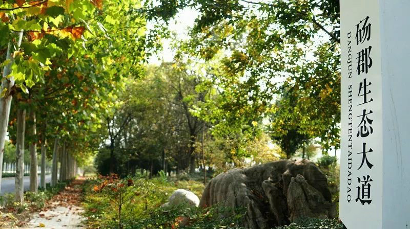 漫步在景色迷人的网红打卡之地,自然景观网红打卡地
