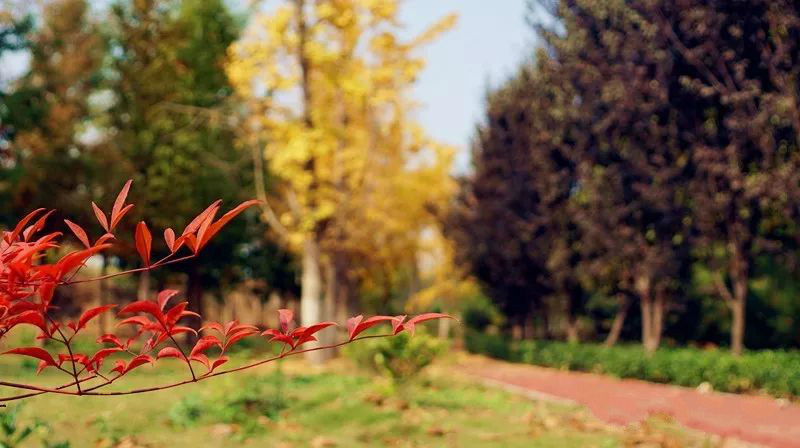 漫步在景色迷人的网红打卡之地,自然景观网红打卡地