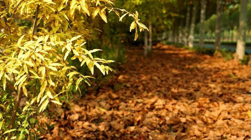 漫步在景色迷人的网红打卡之地,自然景观网红打卡地